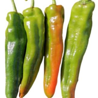 Medium Spicy Pepper Hayday