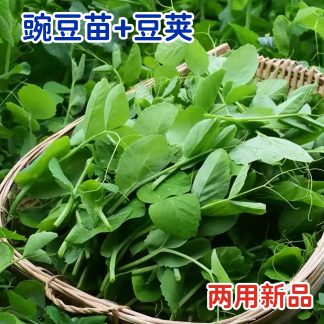 Pea Shoots - Plus pods