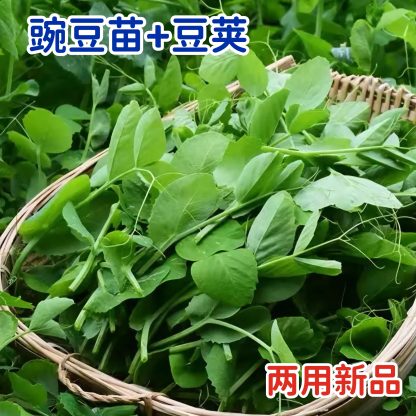 Pea Shoots - Plus pods